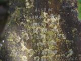 image of grave number 842382